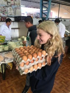 629c7475-3e78-495b-8dde-3c3292e681bd